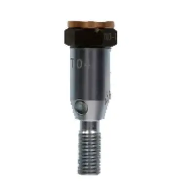 Screw with hammer cap 