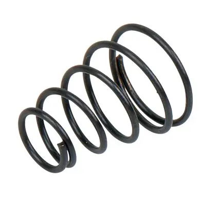 Valve spring 