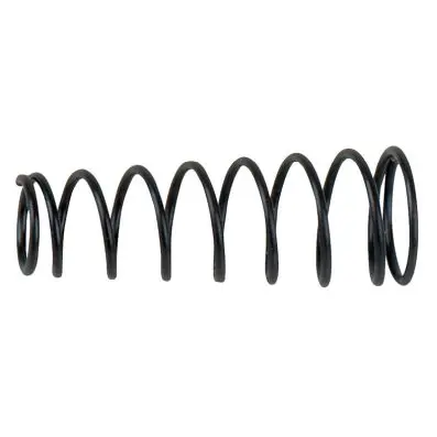 Valve spring 
