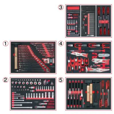 Set of universal system inserts for 5 dr awers with 299 premium tools 