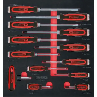 SCS ERGOTORQUEmax screwdriver set, 13 pc s, 2/3 system inset 