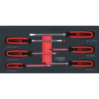SCS ERGOTORQUEplus screwdriver set, 6 pc s, 1/3 system insert 