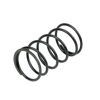 Rear cushion spring 