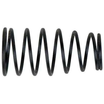 Valve spring 