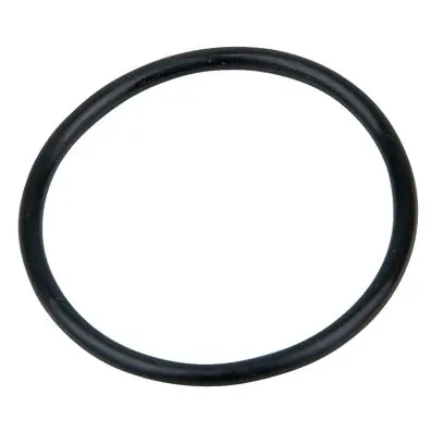 O-Ring (S30) 