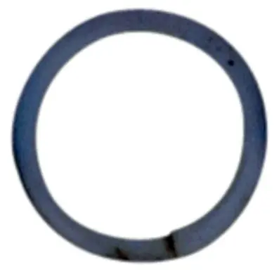 Backup ring 