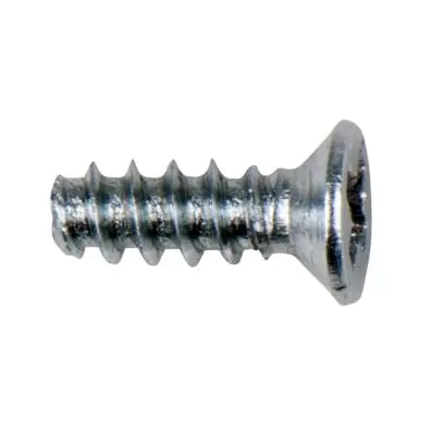 Screw ST2.5x13 F 