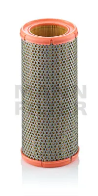 Air filter PSA Car 