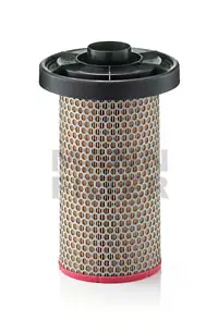 Air filter PSA Car 