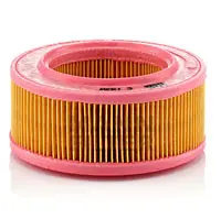 Air filter Vauxhall Car 
