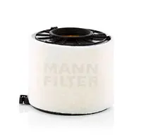 Air filter VW Groupe Car 