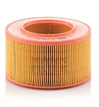 Air filter VW Groupe Car 