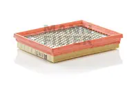 Air filter VW Groupe Car 