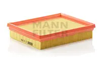 Air filter PSA Car 