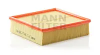 Air filter VW Groupe Car 