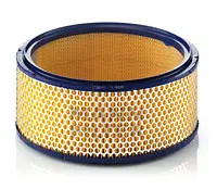 Air filter Iveco/Irisbus Heavy Duty 