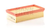 Air filter PSA Car 