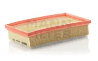 Air filter PSA Car 