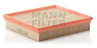 Air filter Rover Car 
