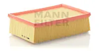 Air filter PSA Car 