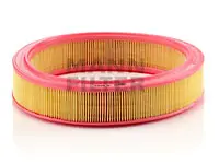 Air filter Ford Car 