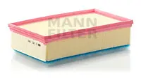 Air filter PSA Car 