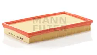 Air filter VW Groupe Car 
