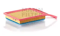 Air filter PSA Car 
