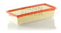 Air filter PSA Car 
