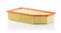 Air filter PSA Car 