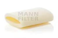 Air filter PSA Car 