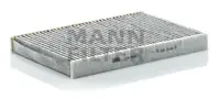 Cabin filter, Activated charcoal Iveco/Irisbus Heavy Duty 