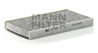 Cabin filter, Activated charcoal Iveco/Irisbus Heavy Duty 