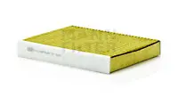 Cabin filter biofunctional Ford Car 
