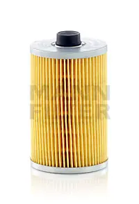 Fuel filter Pegaso Heavy Duty 