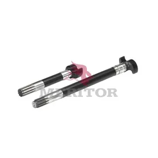 #NAVN? Meritor