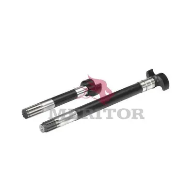 #NAVN? Meritor 