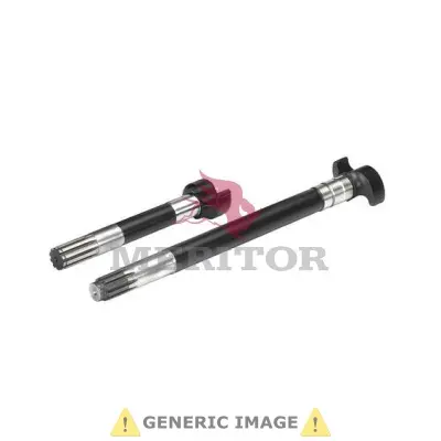 #NAVN? Meritor 