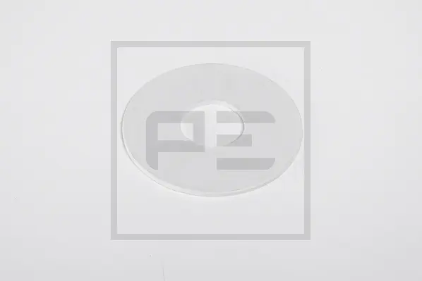 Skive SAF 60,5 x 170 x 4,75 PE Automotive 