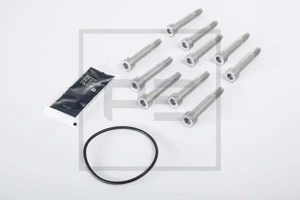 Repair set M 12x1,5 PE Automotive 