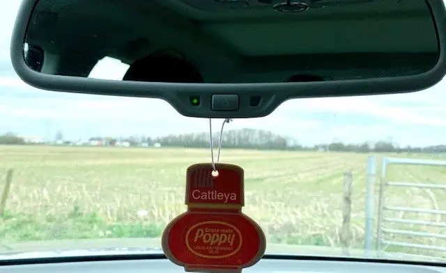 Cardboard Car Airfreshener CATTLEYA Poppy Grace Mate 