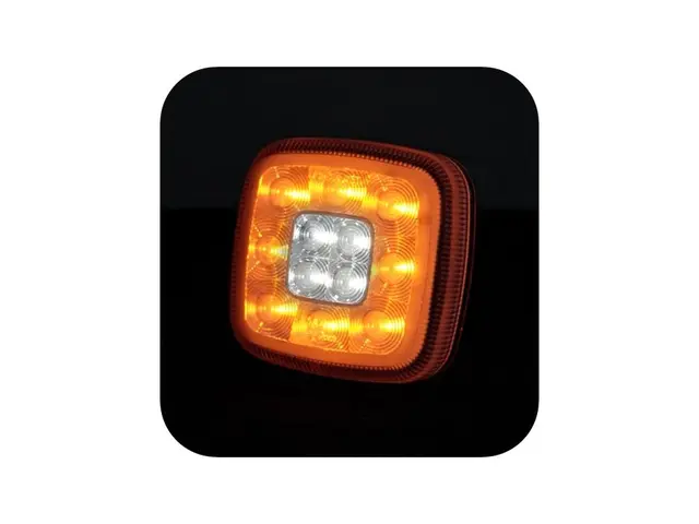 LED front direction indicator lamp + pos 12/24V, cable 0,5m 