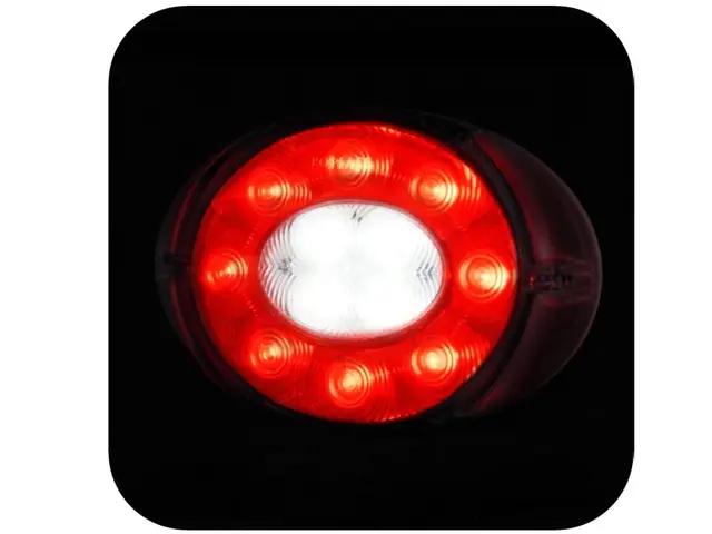 LED Fog/Reversing Lamp PRO-OVAL 12/24V, cable 0,5m 
