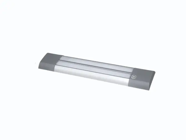 LED Interior Lamp PRO-TWIN-STRIPE  with 305mm, 620 lumen, 24V, cable 0,3m, ADR 