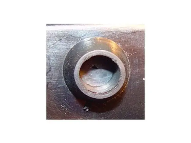 Rear Combination Lamp UNIVERSAL without left 