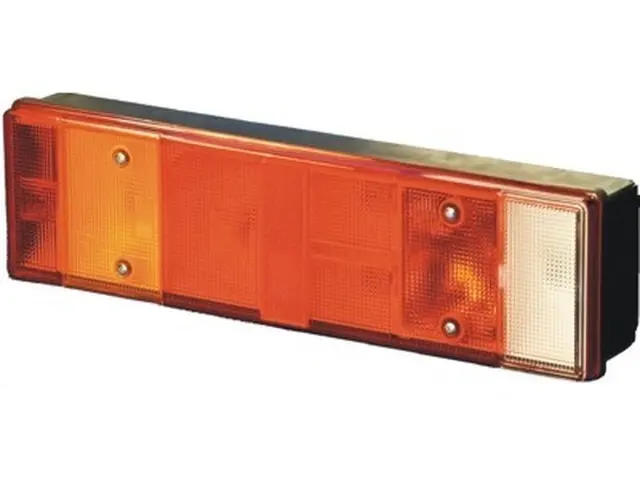 Rear Combination Lamp MAN/STEYR left, with numberplate lamp, backside co 