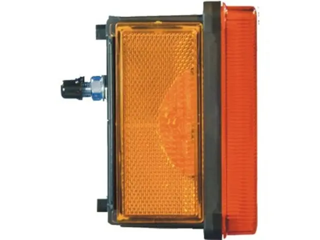 Rear Combination Lamp MAN/STEYR left, with numberplate lamp, backside co 