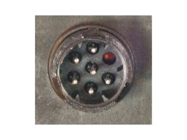 Rear Combination Lamp MAN/Reanult/DAF right, lateral connector 