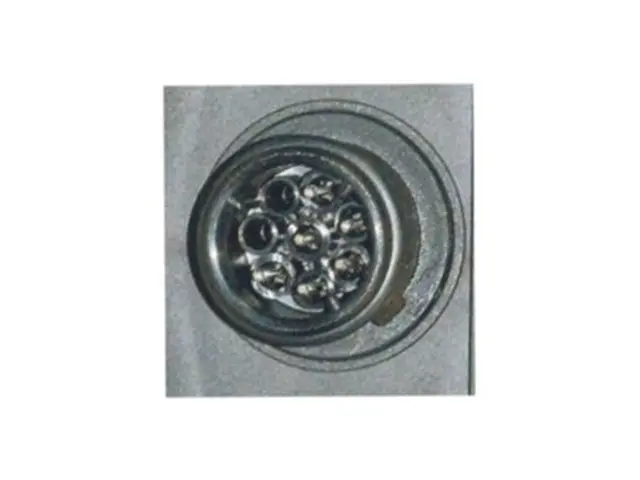 Rear Combination Lamp DAF left, right, backside connector 