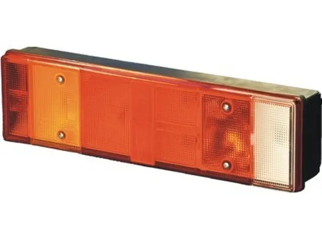 Rear Combination Lamp DAF left, with numberplate lamp, backside co 